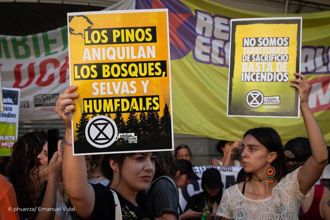 A photograph of two women holding signs at what appears to be a protest march or similar event, as they are surrounded by other people, some holding signs, and there are two large banners in the background. The text of the banners and most of the signs is not visible. The signs the women hold read "Los pinos aniquilan los bosques, selvas y Humedales", and " No somos territorios de sacrificio basta de incedios".