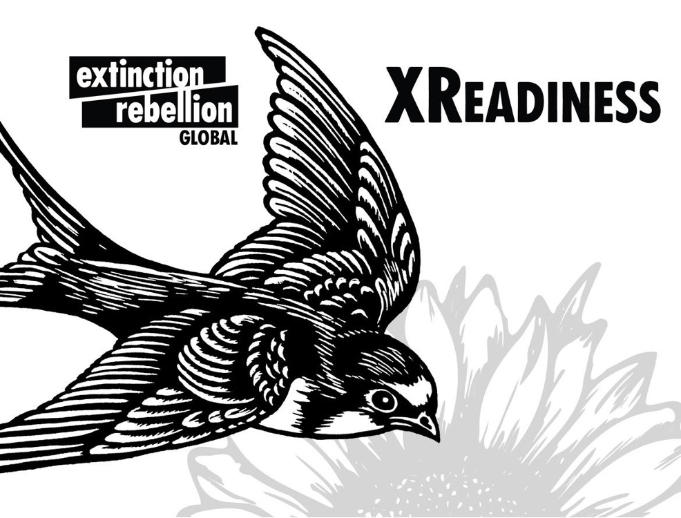 A bird flying, with a flower on the background